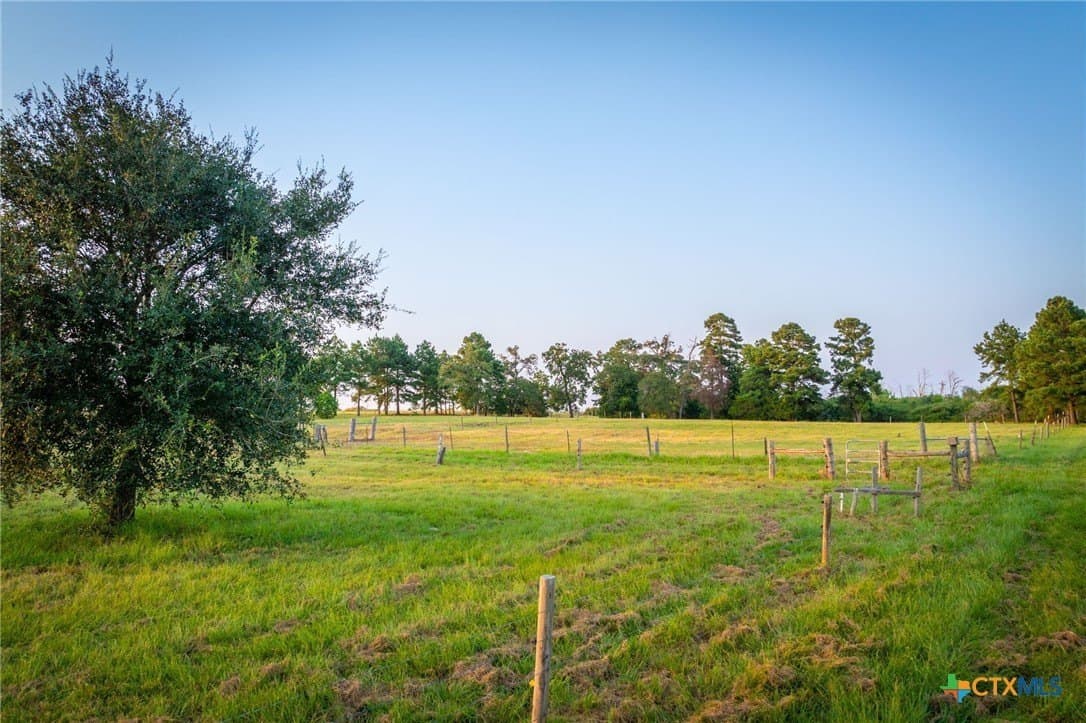 65 acres in Colorado County - photo 34