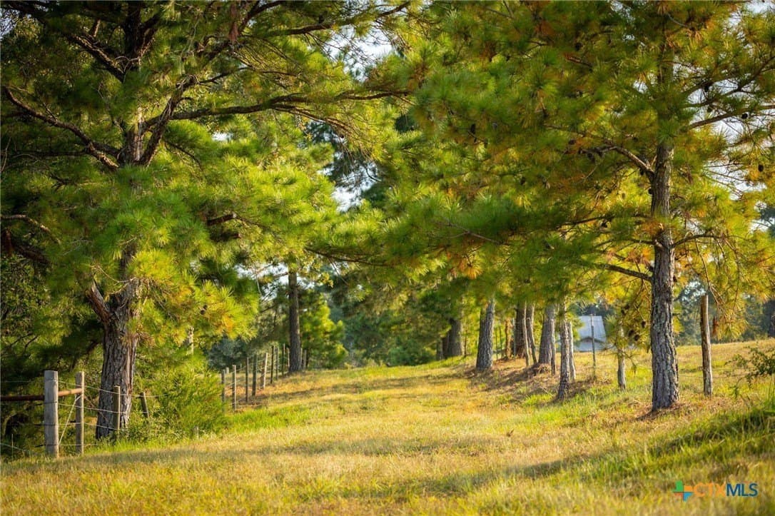65 acres in Colorado County featured view