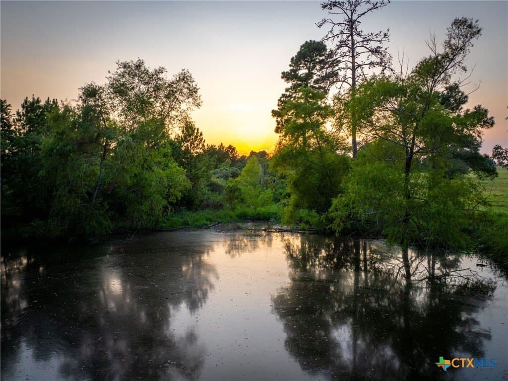 65 acres in Colorado County - photo 37