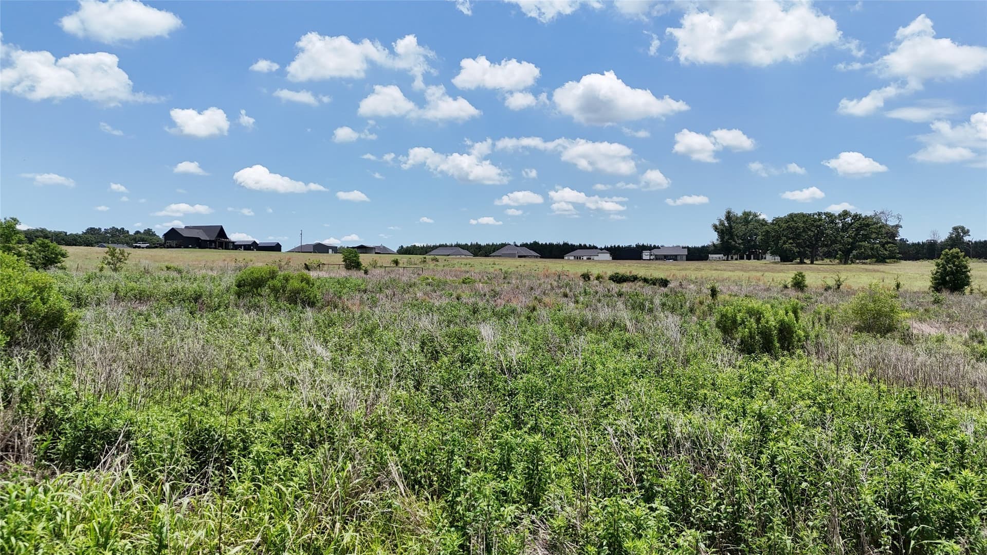 0.84 acres in Henderson County - photo 6