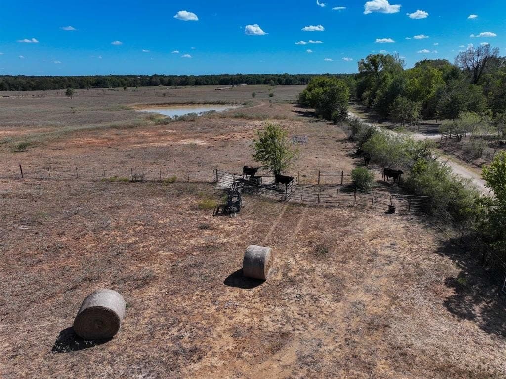21.19 acres in Milam County gallery image 4
