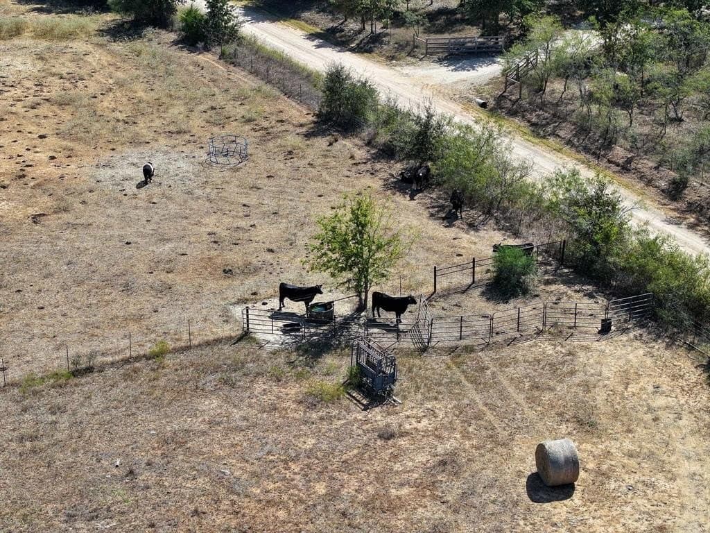 21.19 acres in Milam County gallery image 2