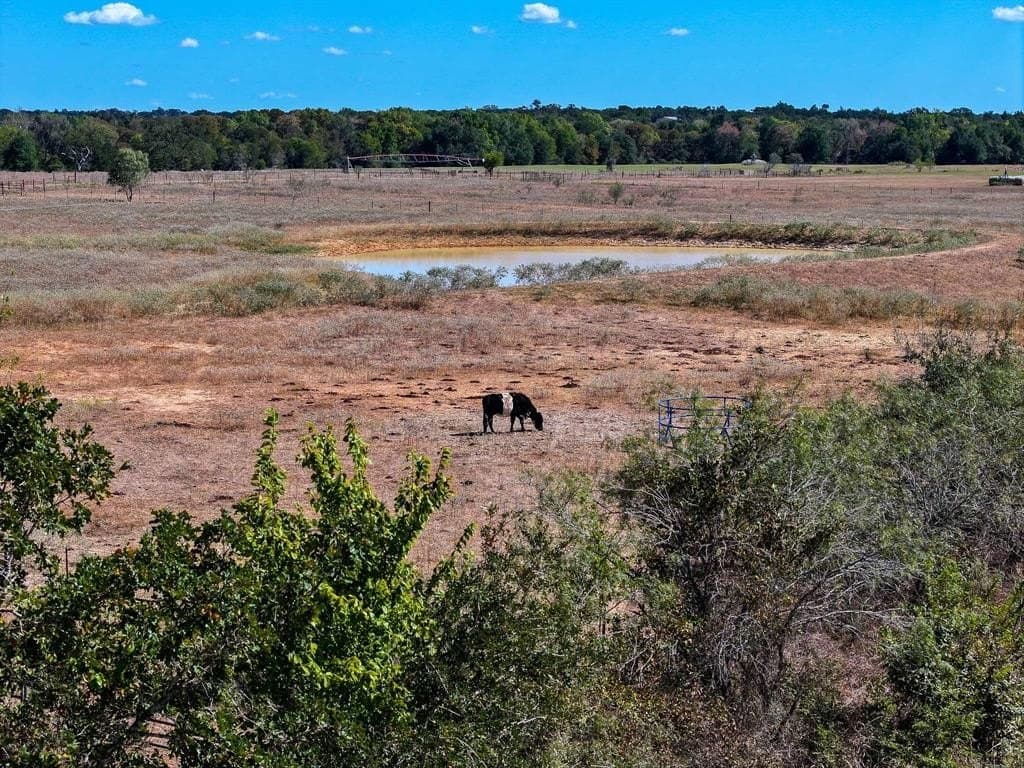 21.19 acres in Milam County featured view