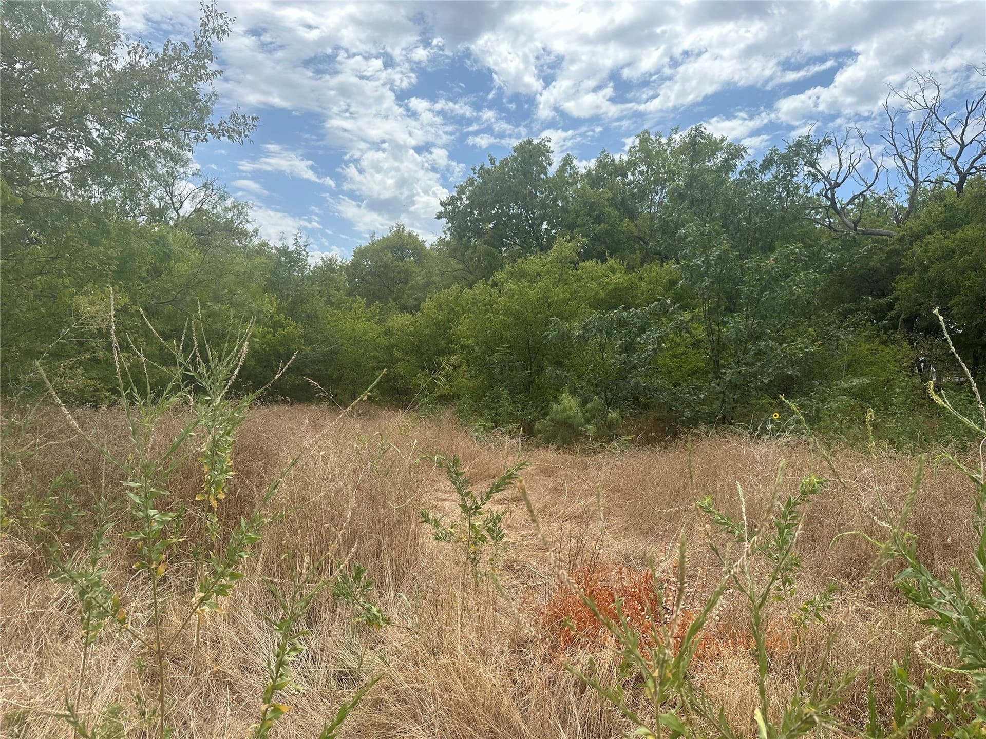 13.4 acres in Tarrant County - photo 11