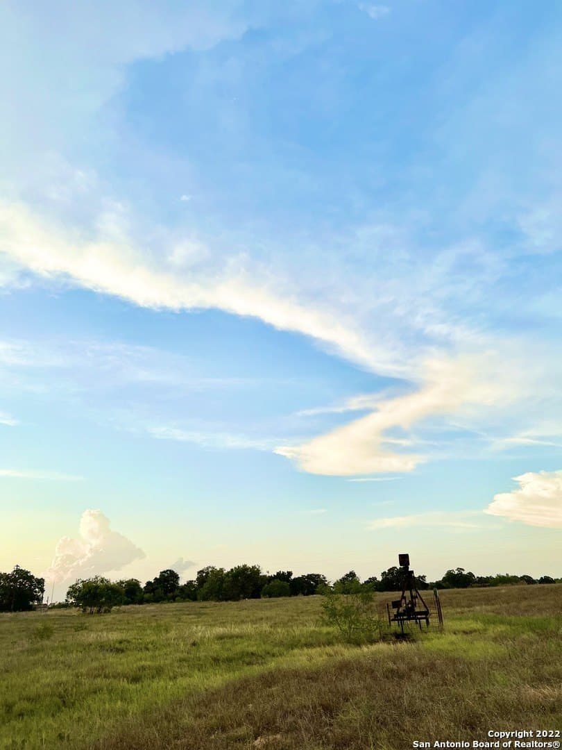 10 acres in Wilson County gallery image 3