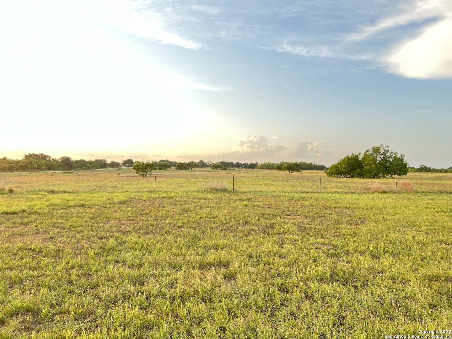 10 acres in Wilson County gallery image 2