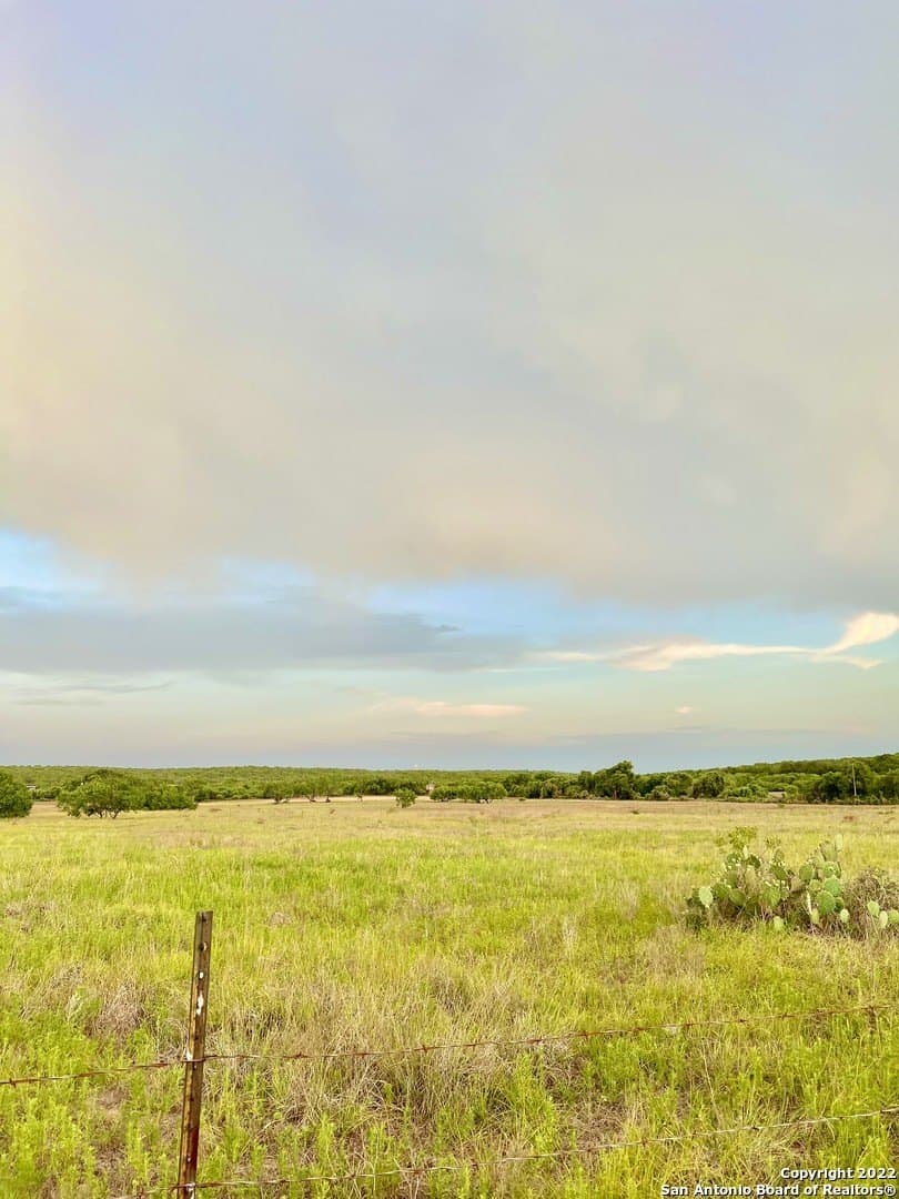 10 acres in Wilson County gallery image 4