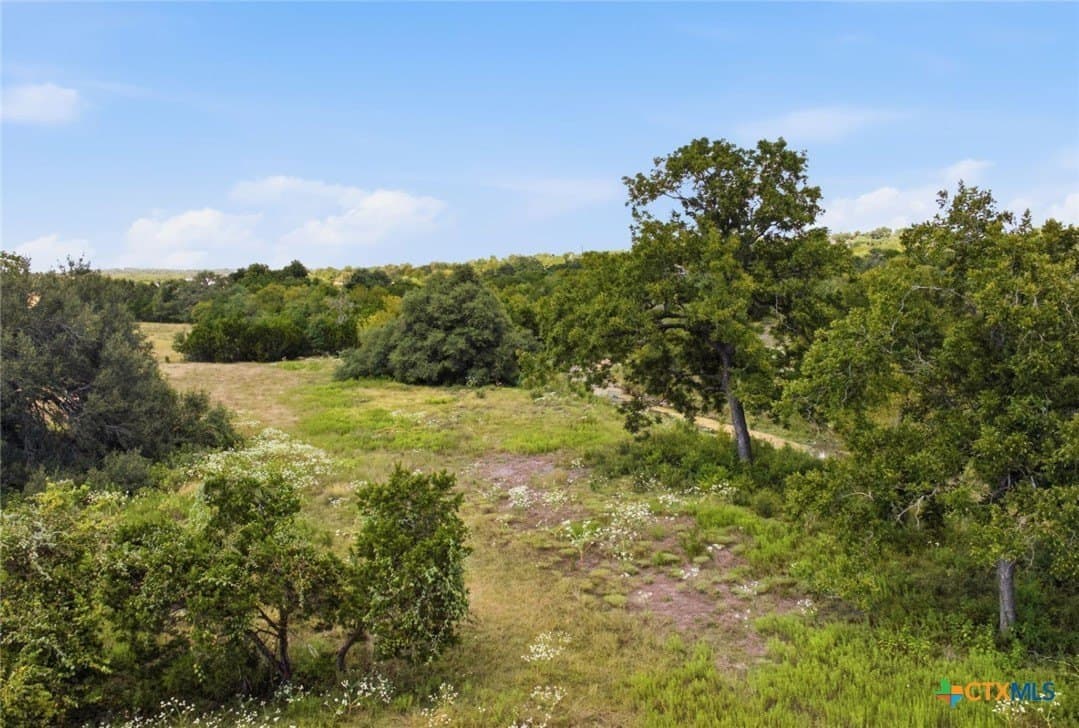 33 acres in Hays County - photo 36