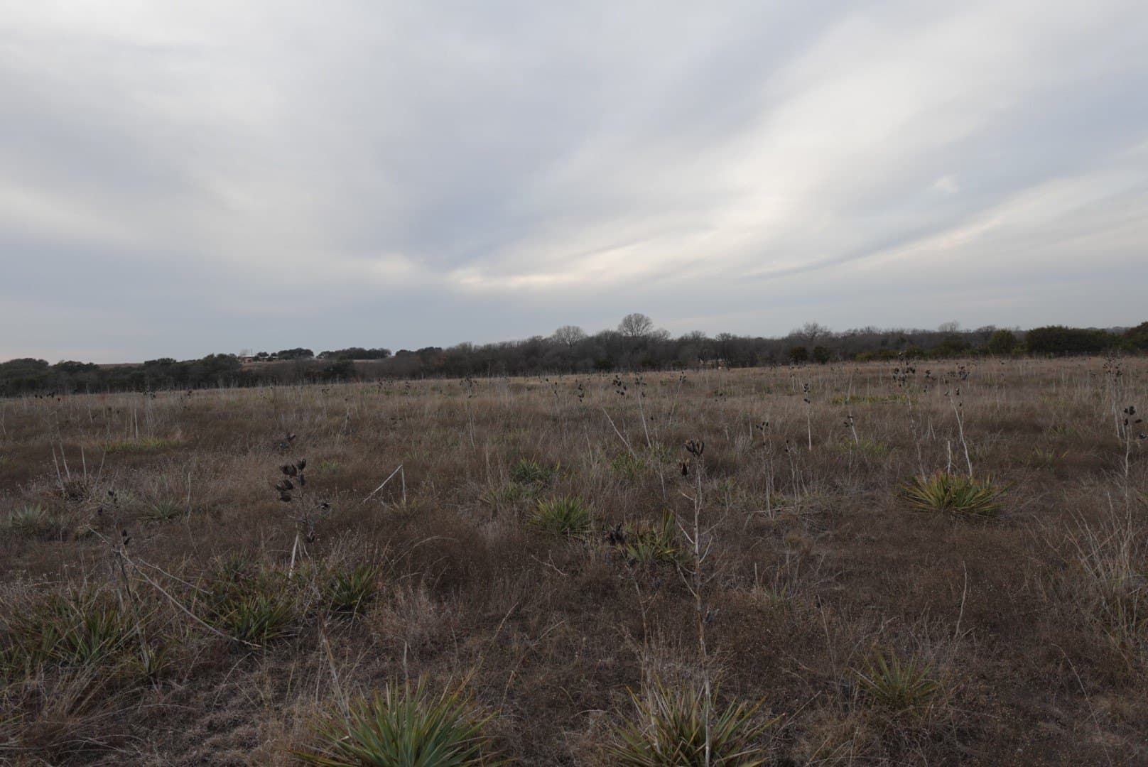 10.6 acres in Erath County - photo 7