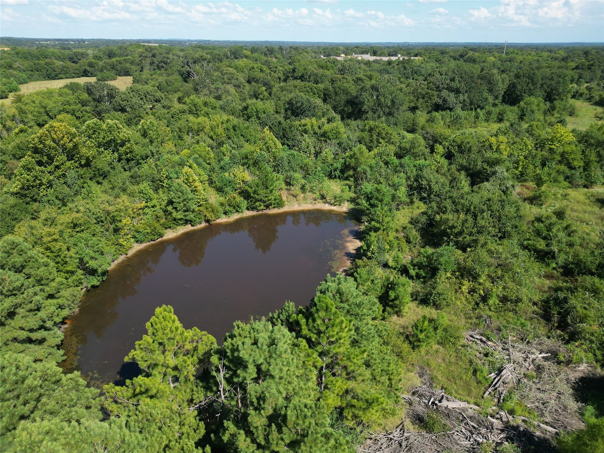 17.39 acres in Henderson County - photo 36