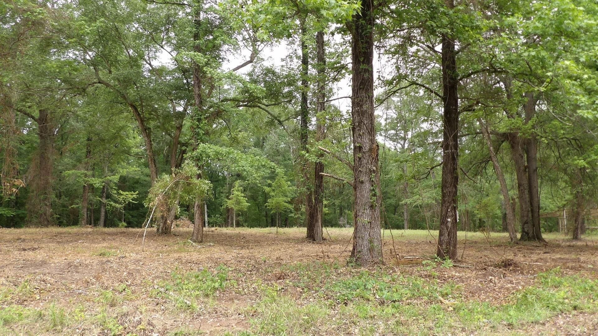 18 acres in Harrison County gallery image 2