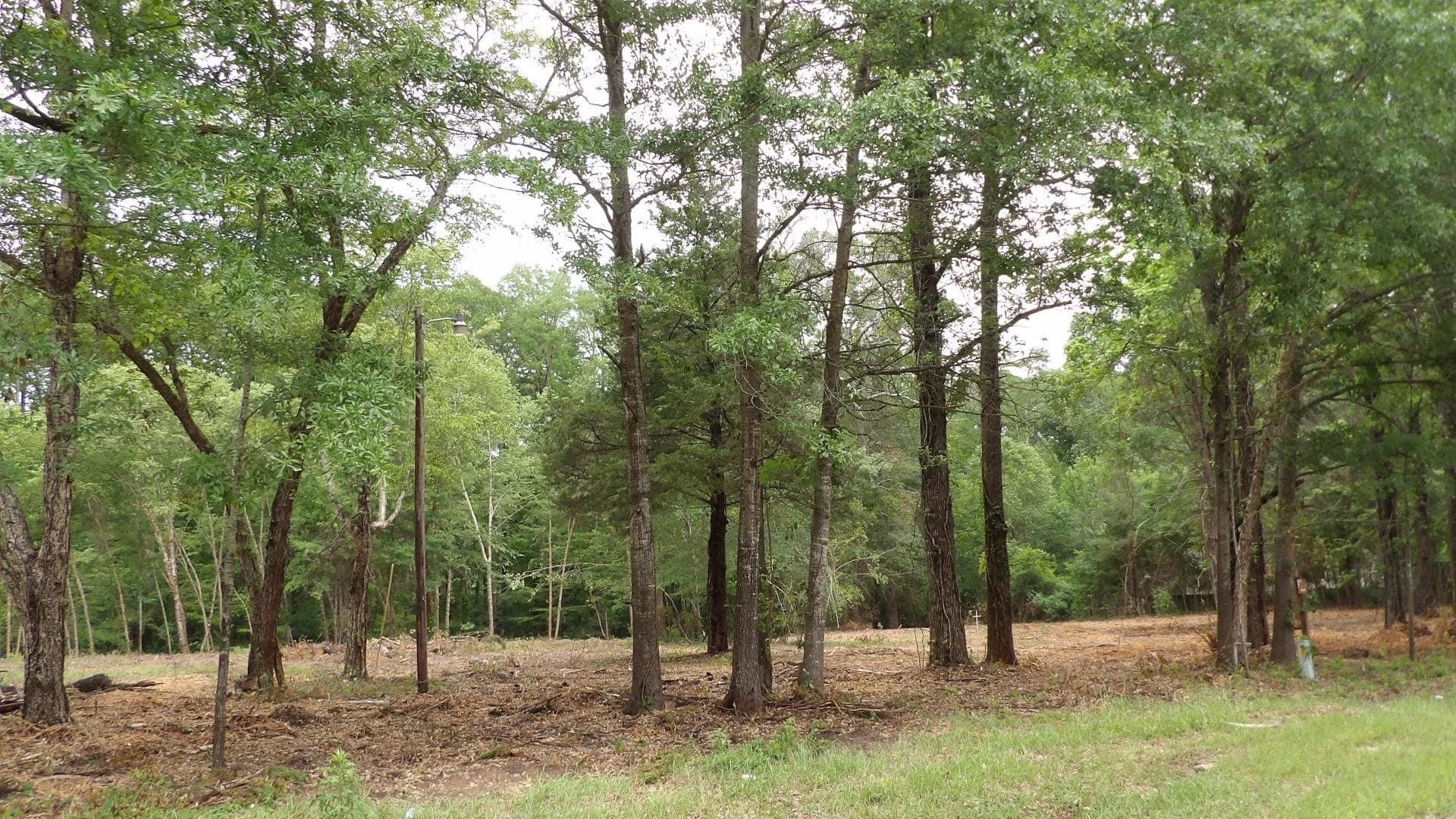 18 acres in Harrison County gallery image 3