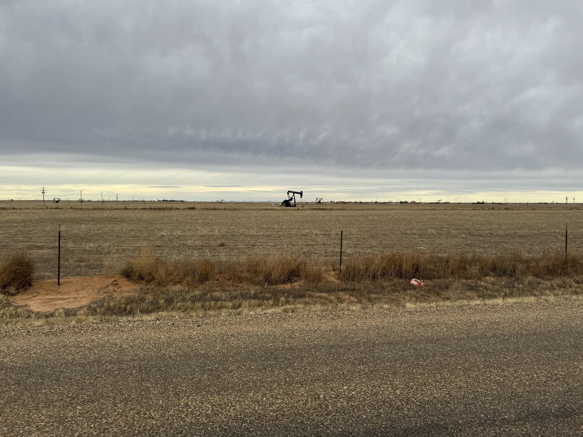 87 acres in Hockley County gallery image 2