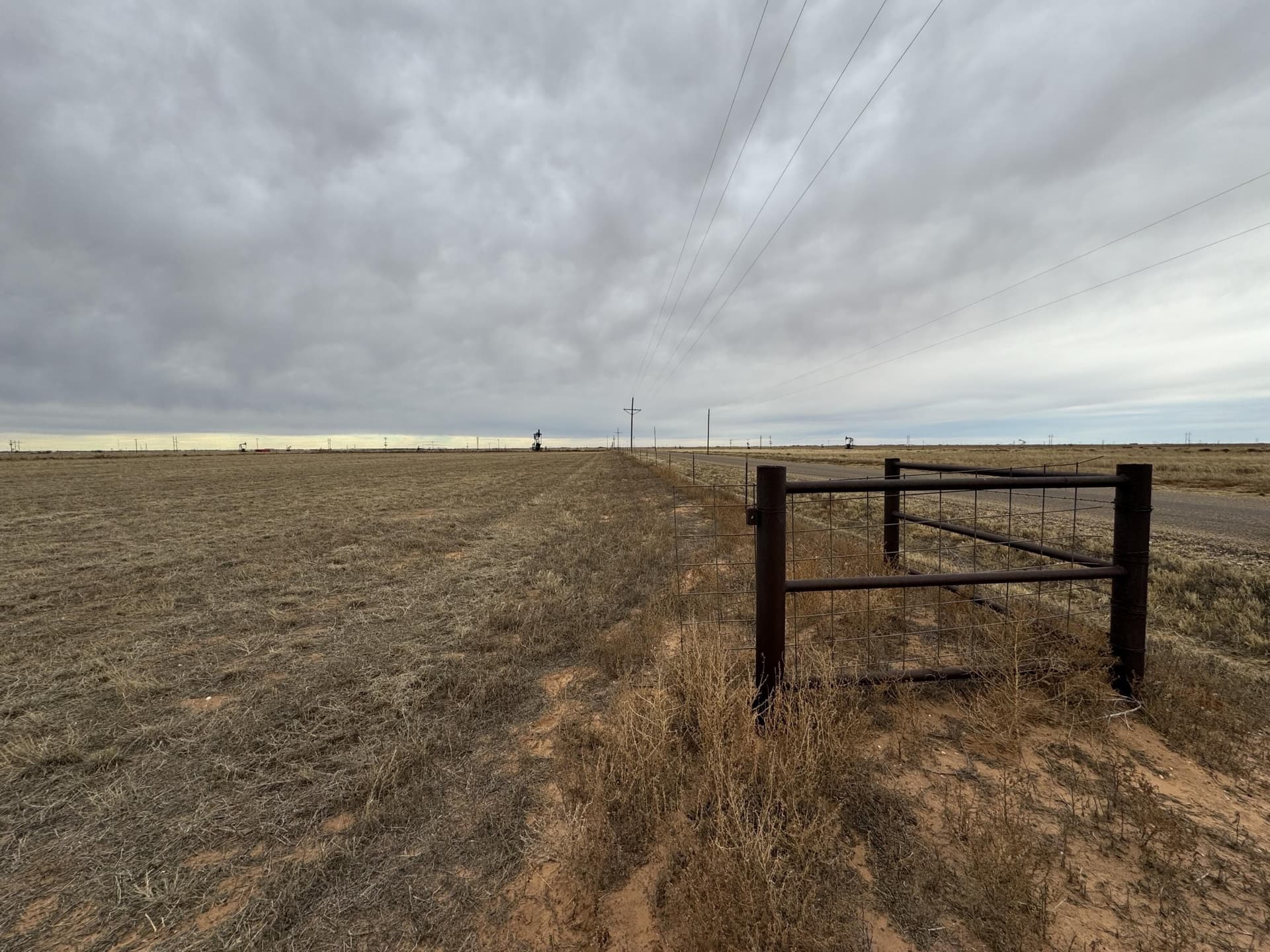 87 acres in Hockley County gallery image 4