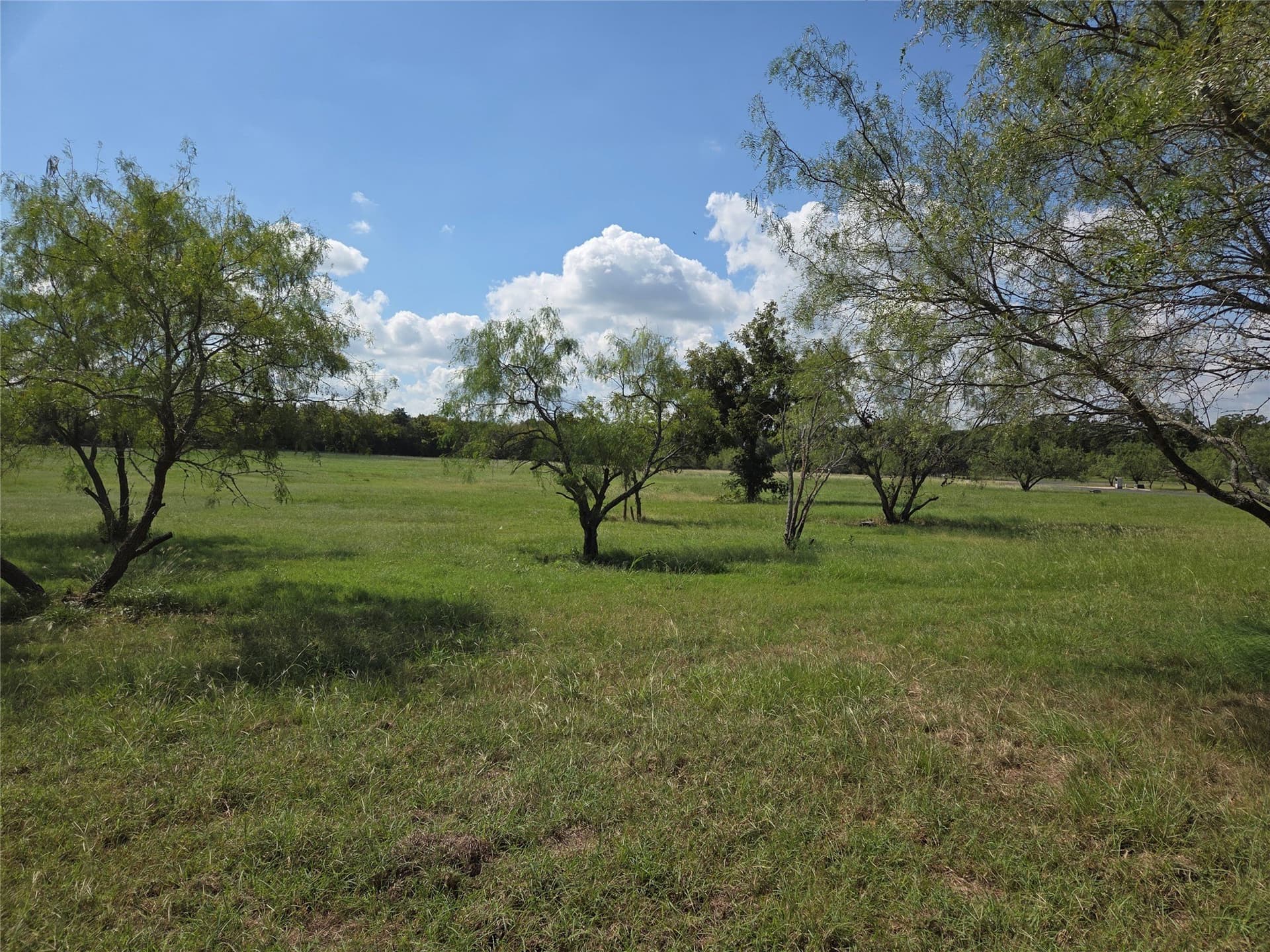 1.08 acres in Navarro County - photo 22