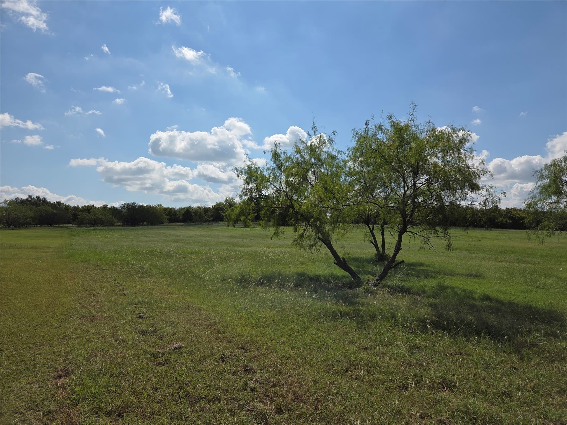 1.08 acres in Navarro County - photo 20