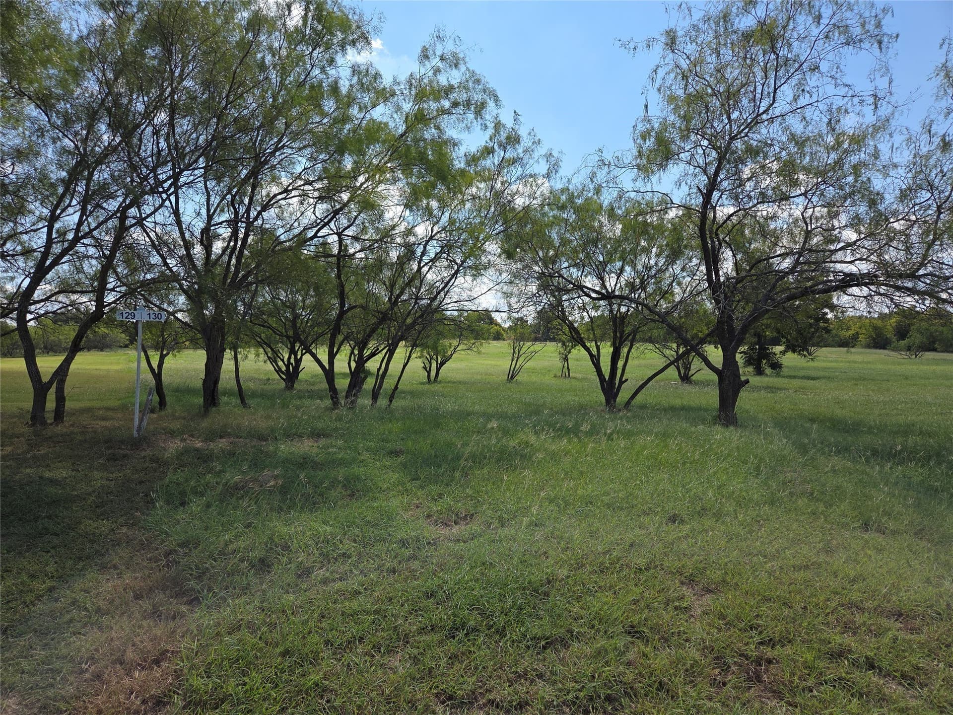 1.08 acres in Navarro County gallery image 4