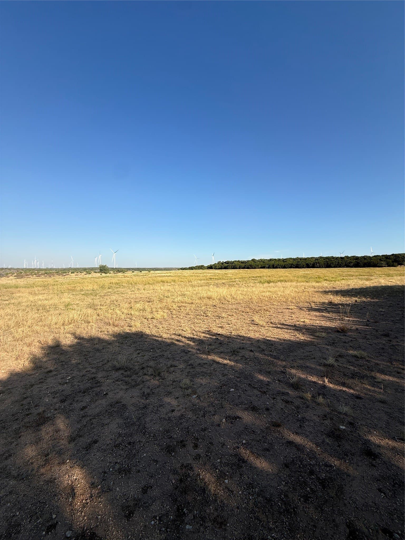 40 acres in Taylor County - photo 9
