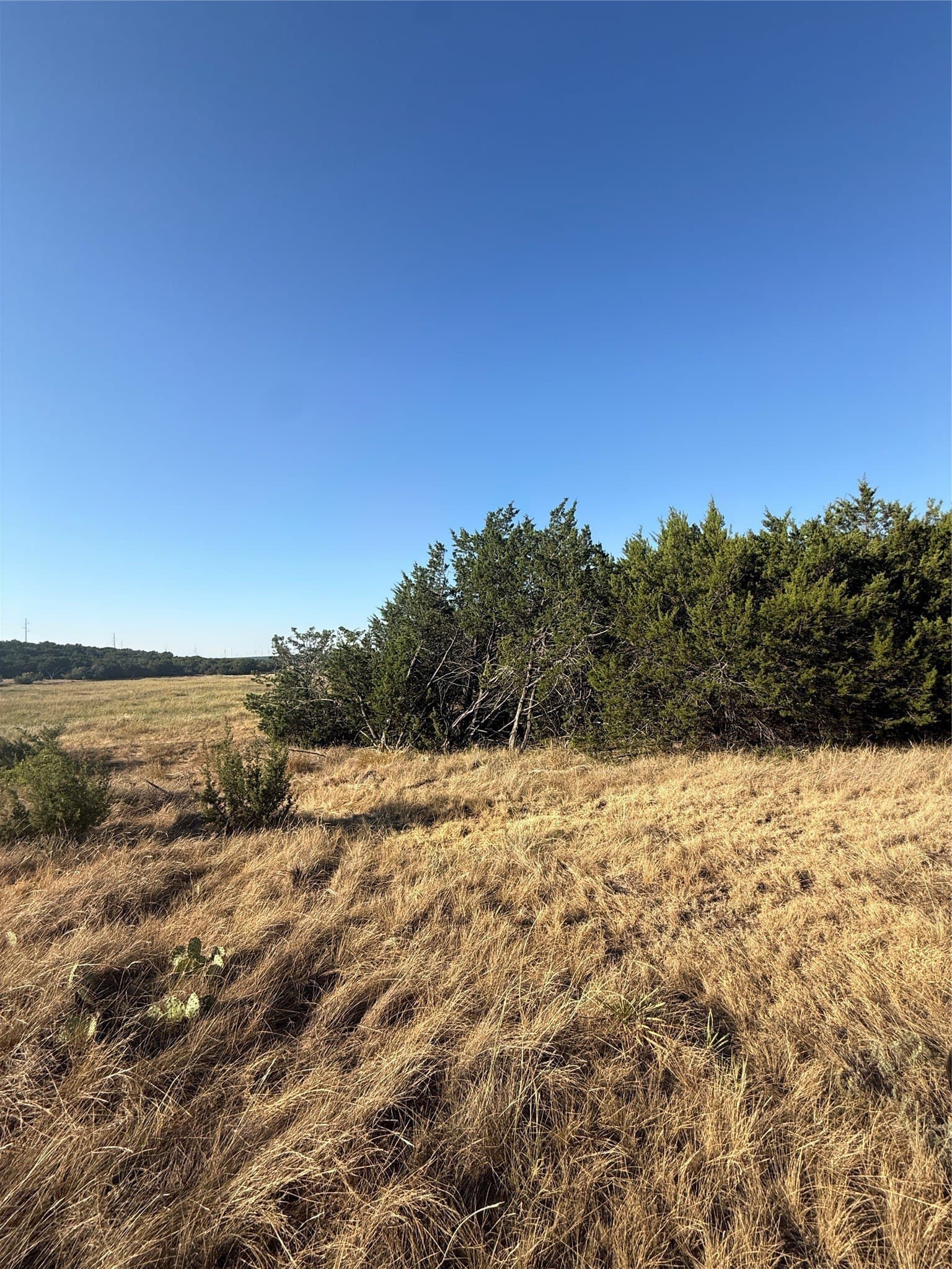 40 acres in Taylor County - photo 12