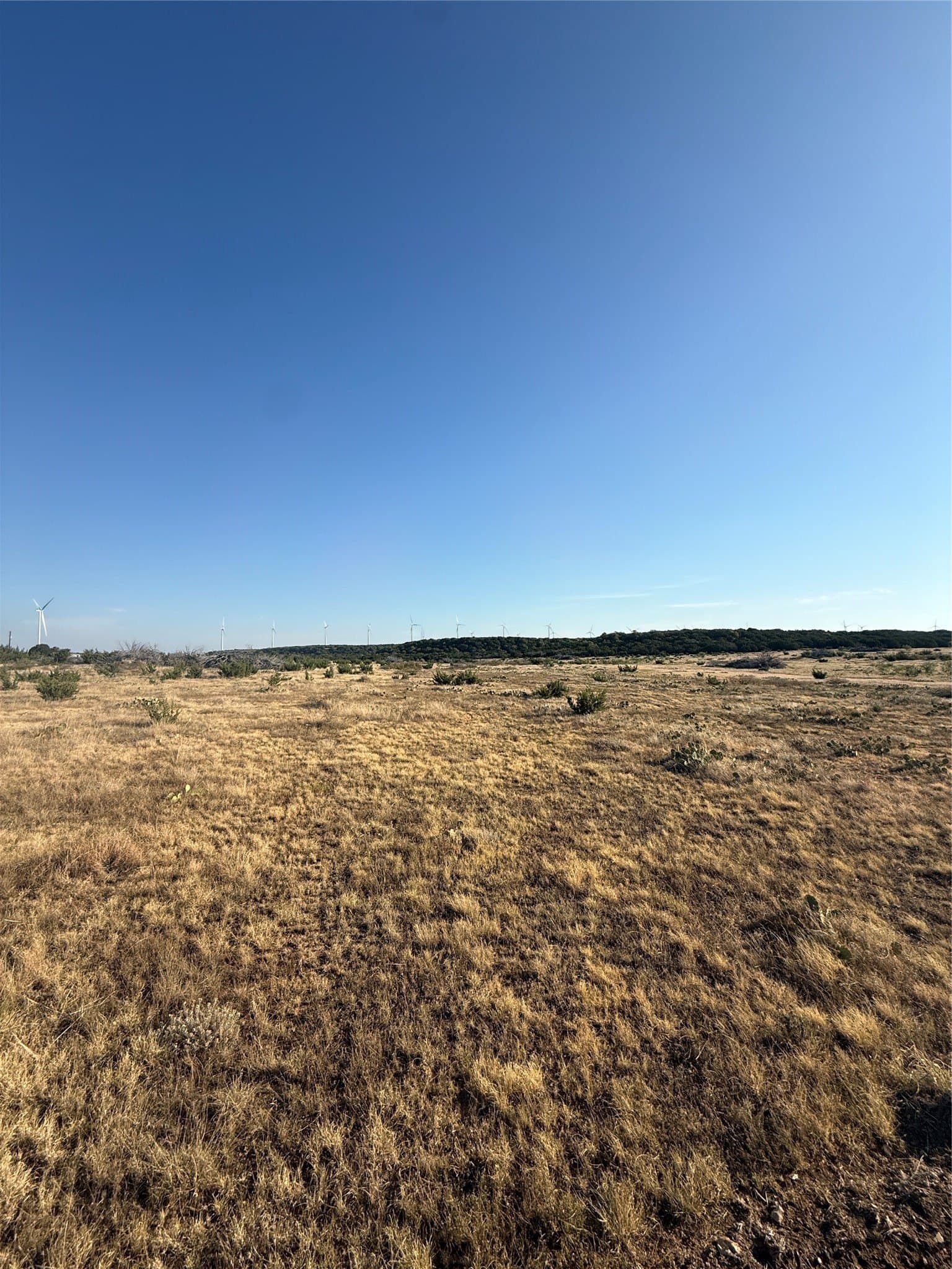 40 acres in Taylor County - photo 5
