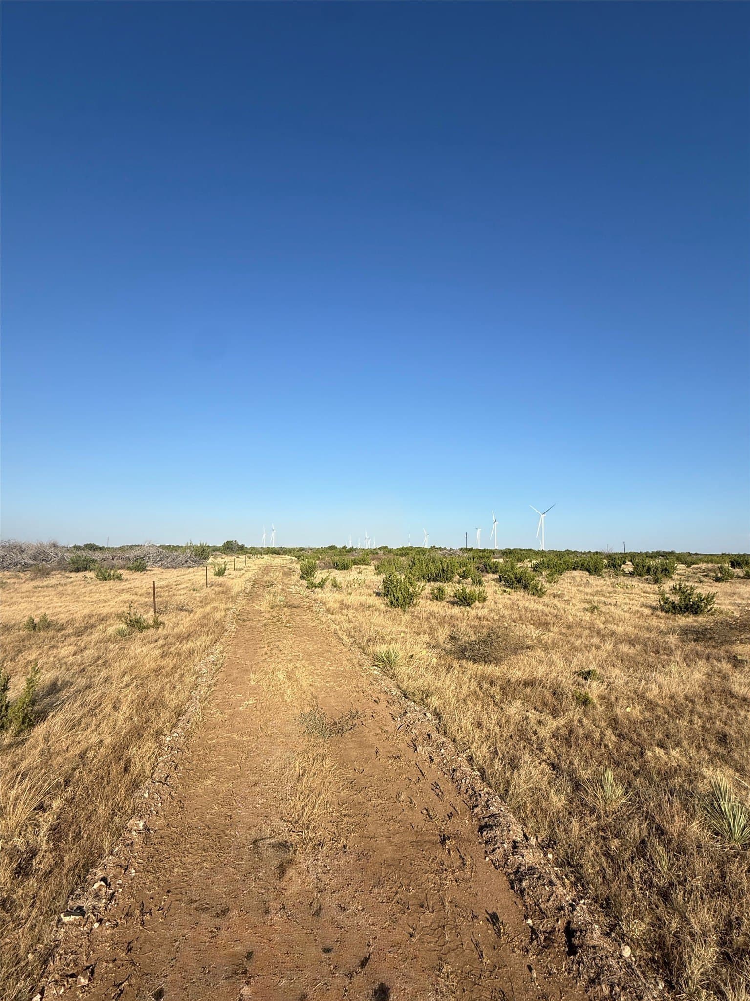 40 acres in Taylor County