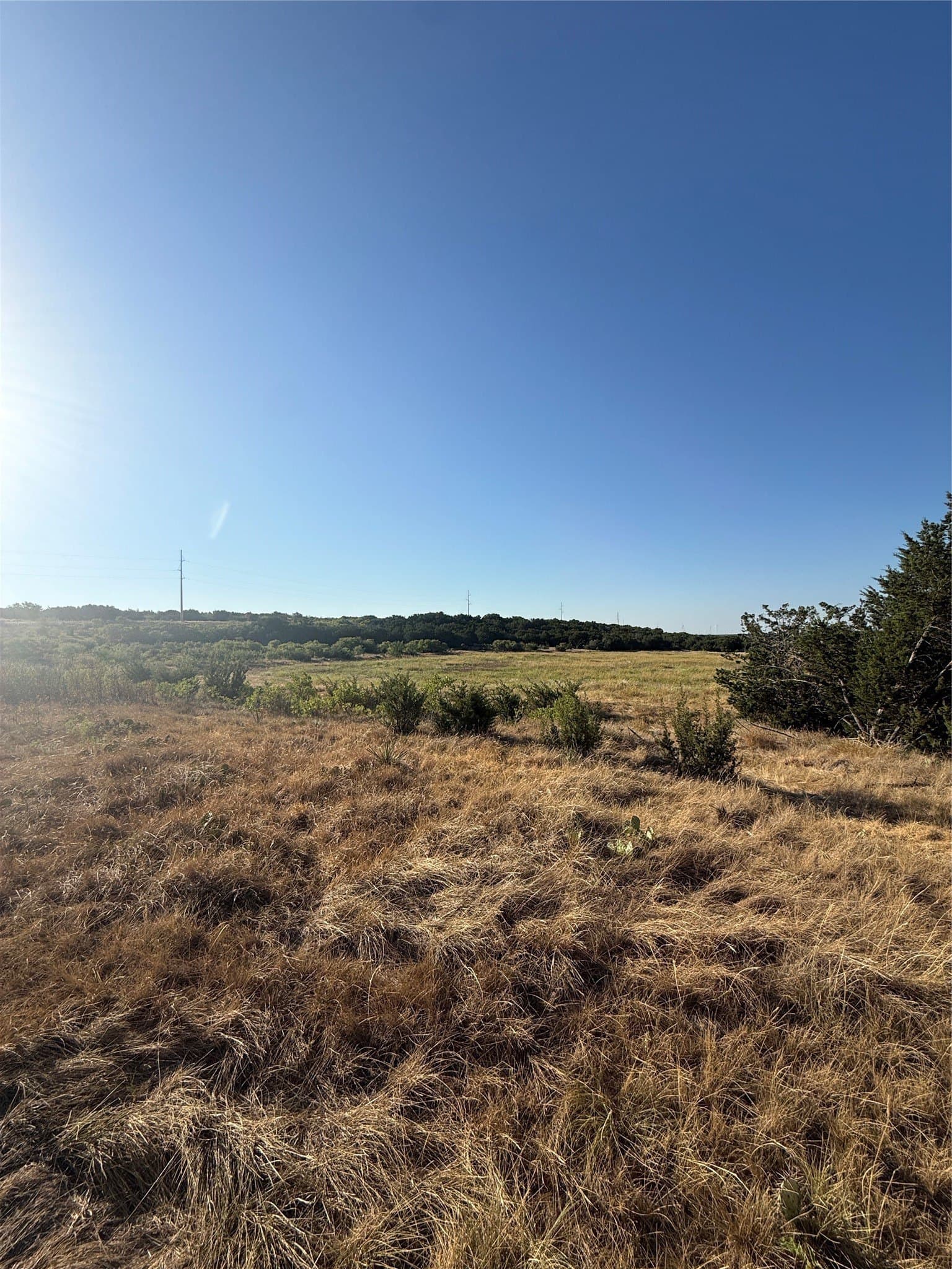 40 acres in Taylor County - photo 13