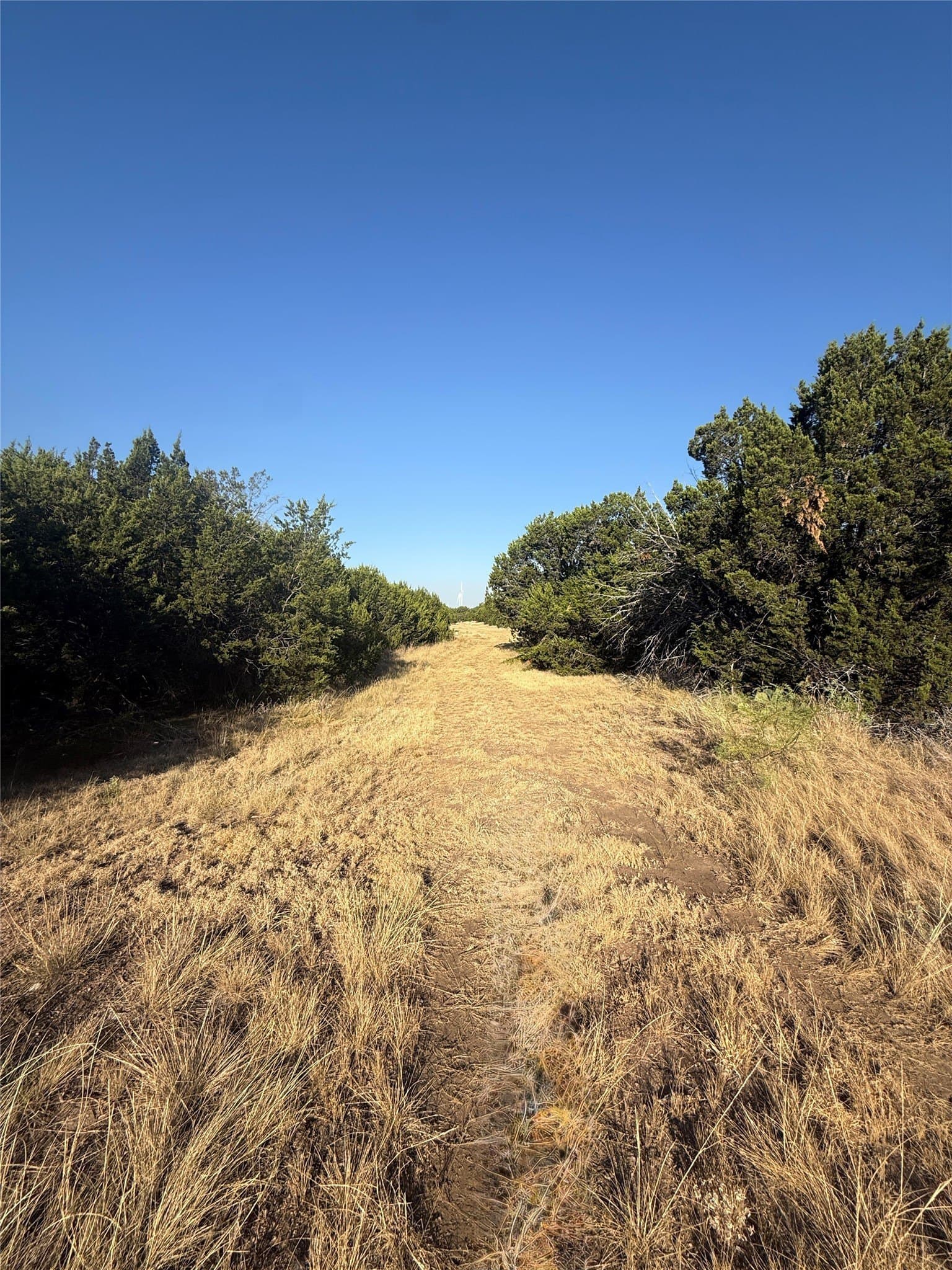 40 acres in Taylor County - photo 11