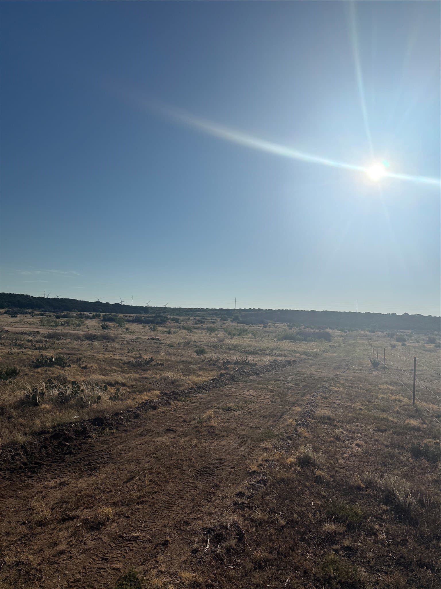 40 acres in Taylor County - photo 7