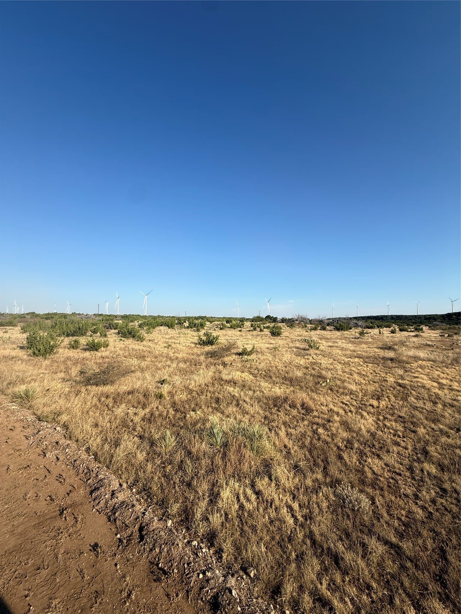 40 acres in Taylor County - photo 6
