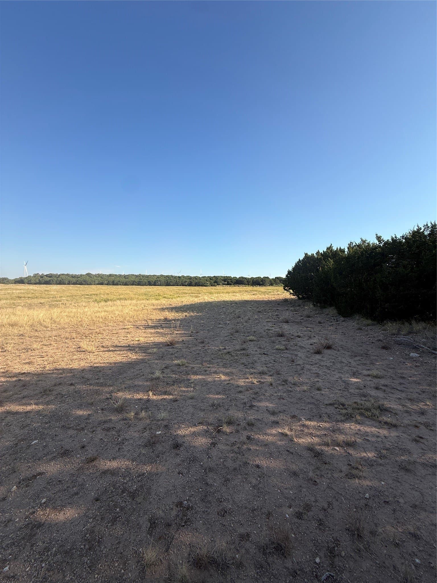 40 acres in Taylor County - photo 8
