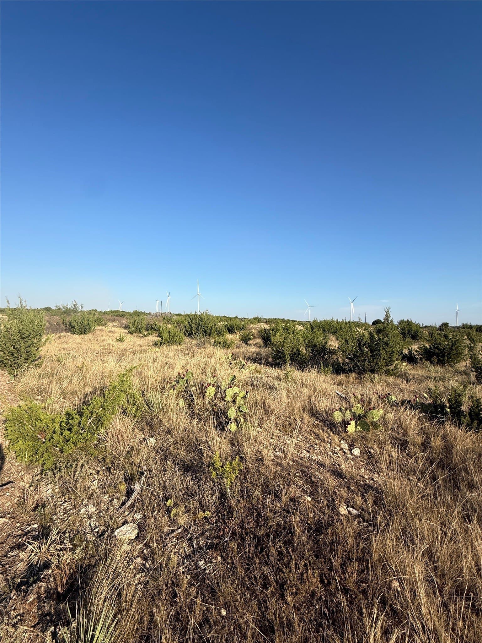 40 acres in Taylor County - photo 2