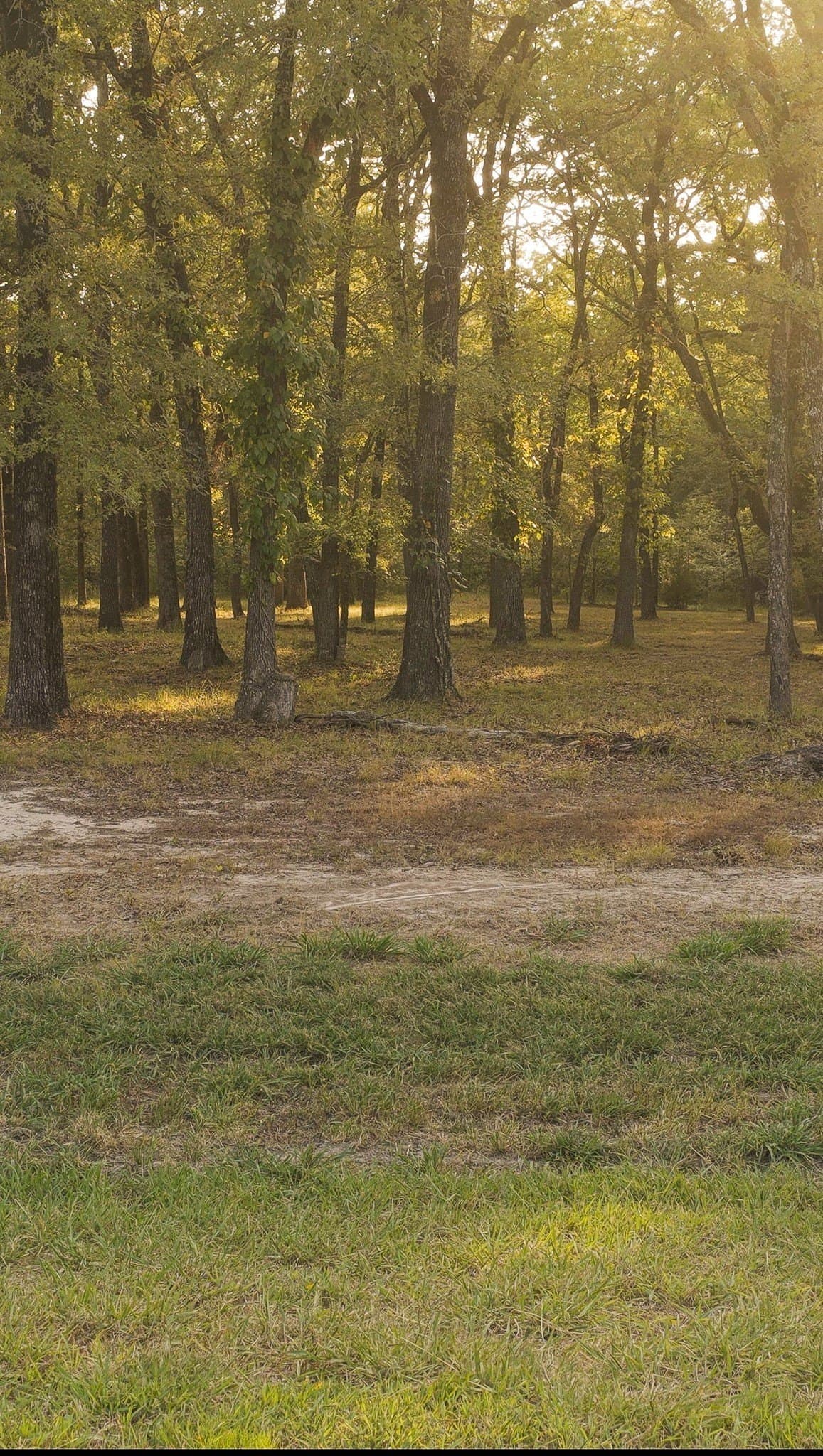 1 acres in Hunt County - photo 4