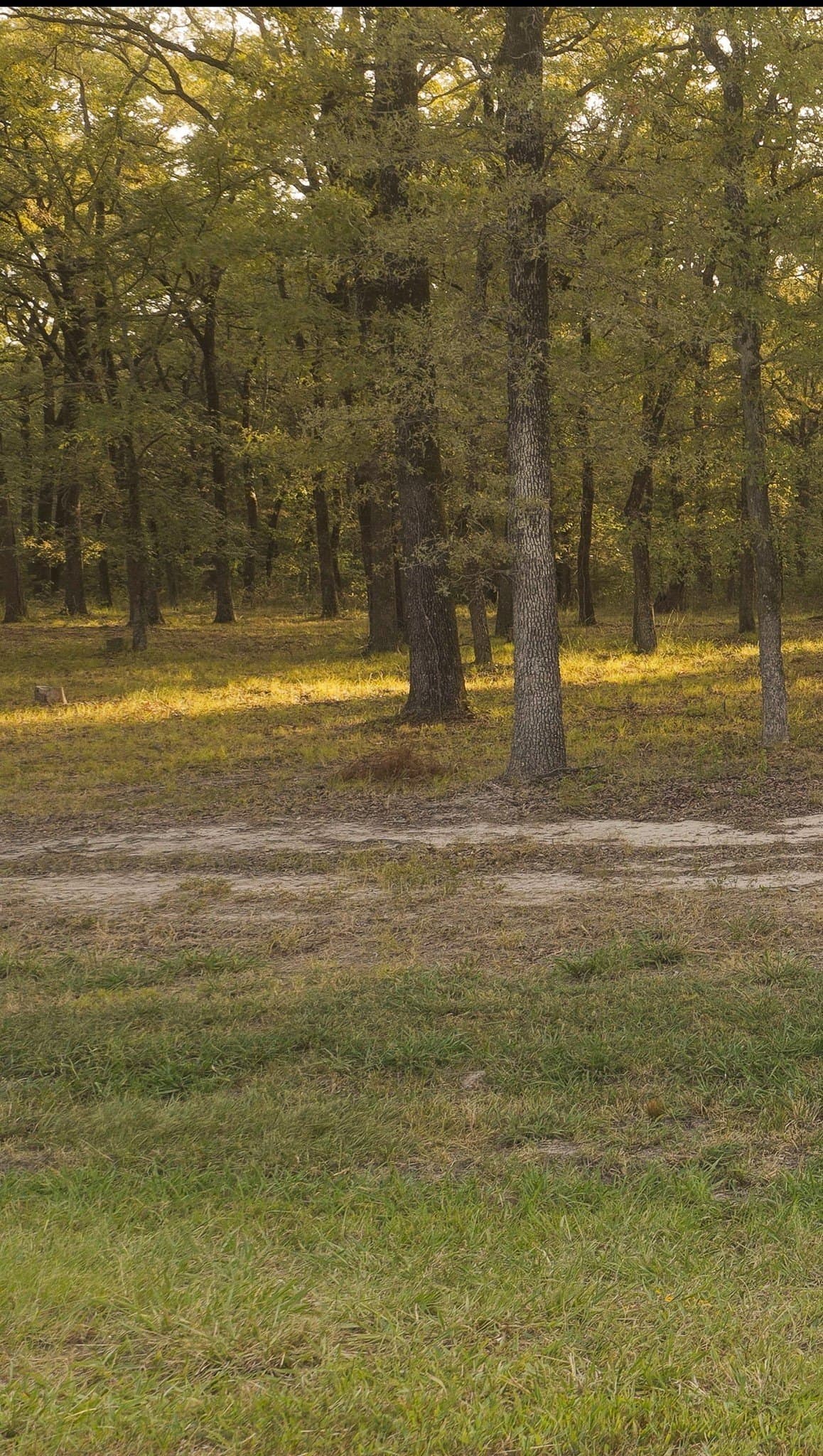 1 acres in Hunt County - photo 5