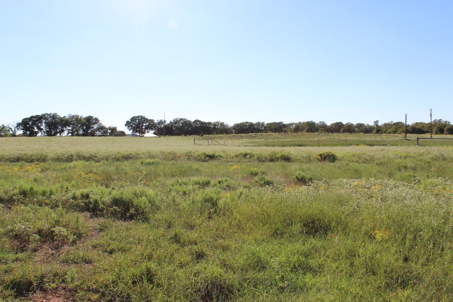 16.13 acres in Wise County - photo 9