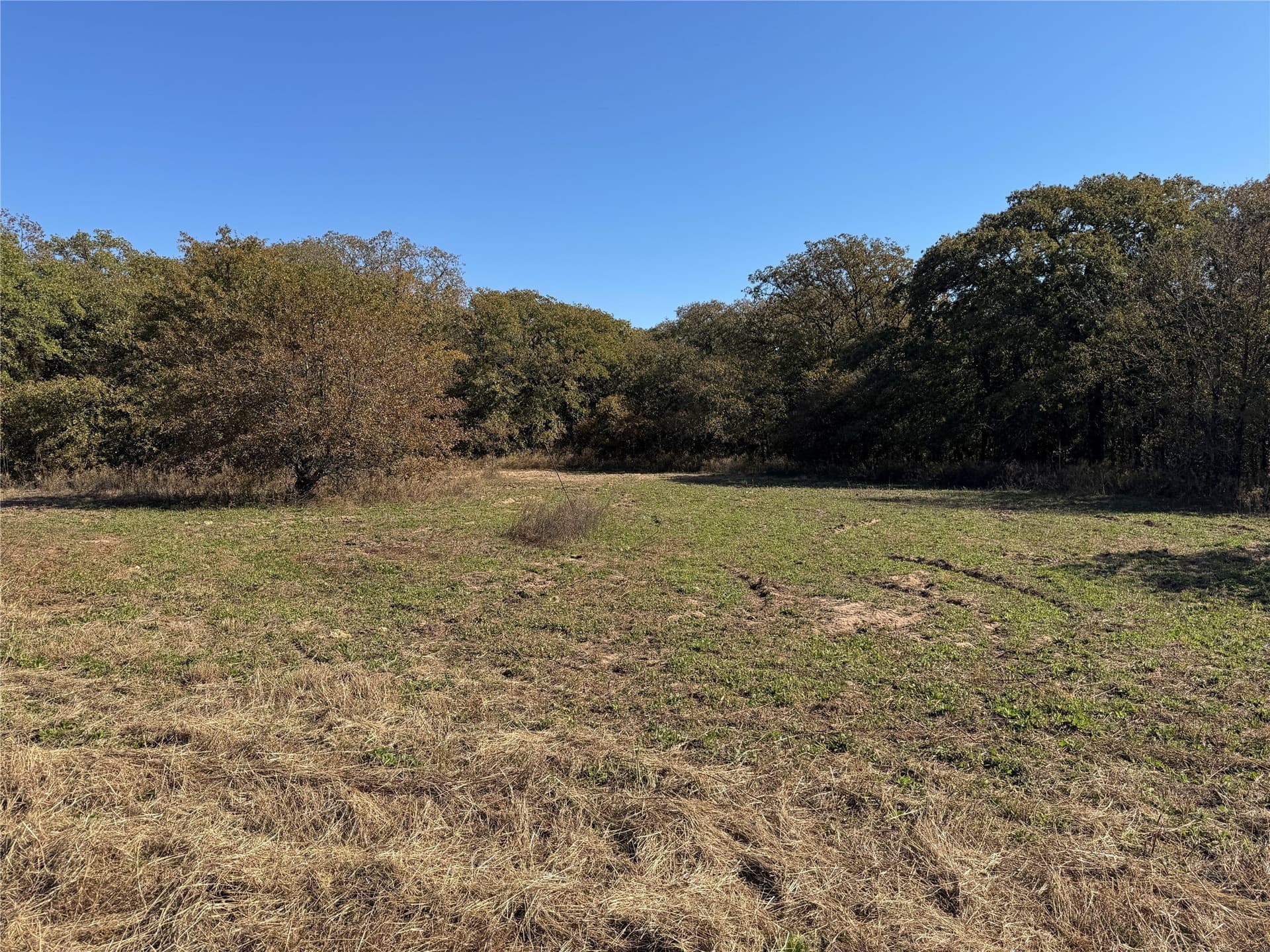 16.13 acres in Wise County gallery image 4