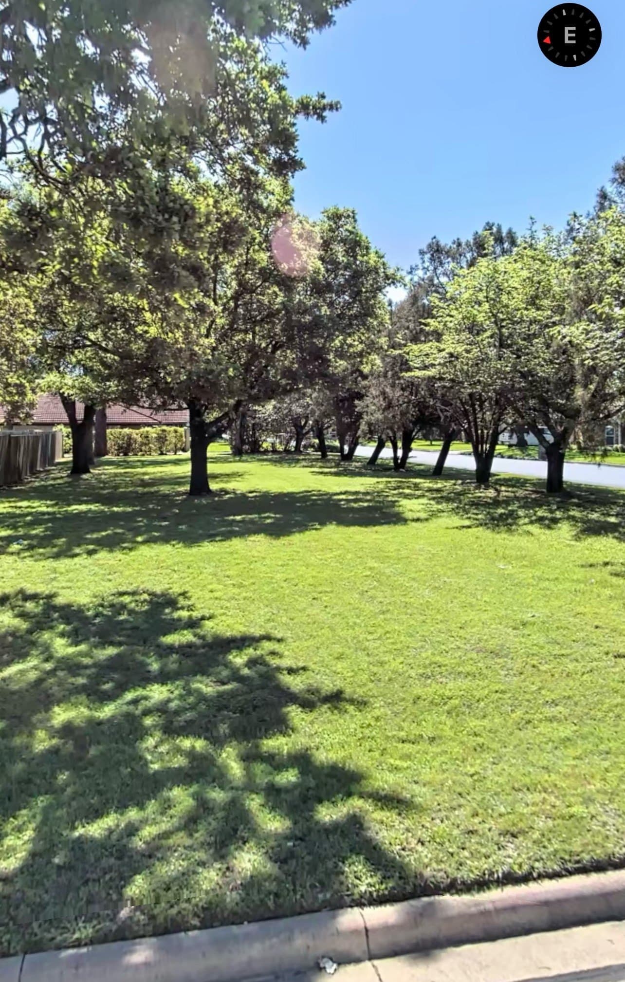 0.25 acres in Tarrant County - photo 7