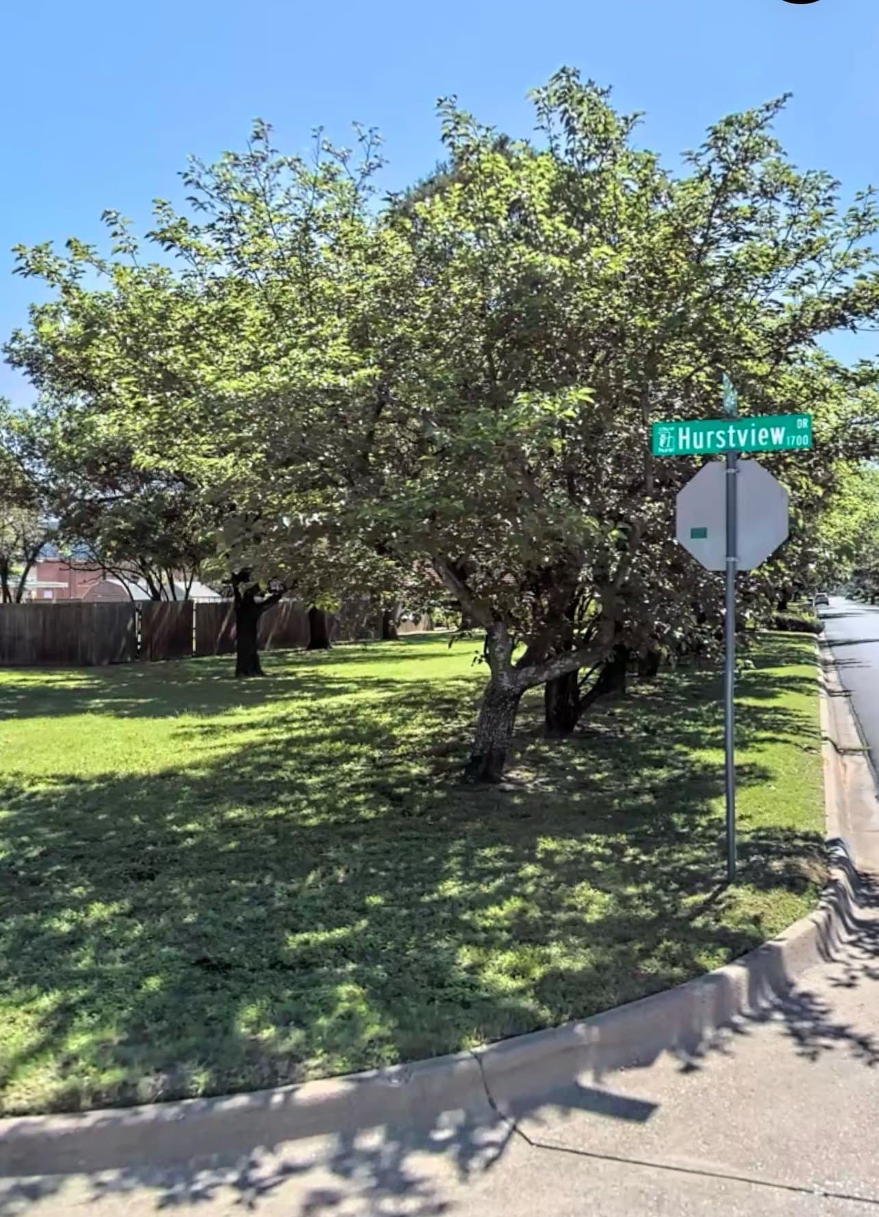 0.25 acres in Tarrant County - photo 9