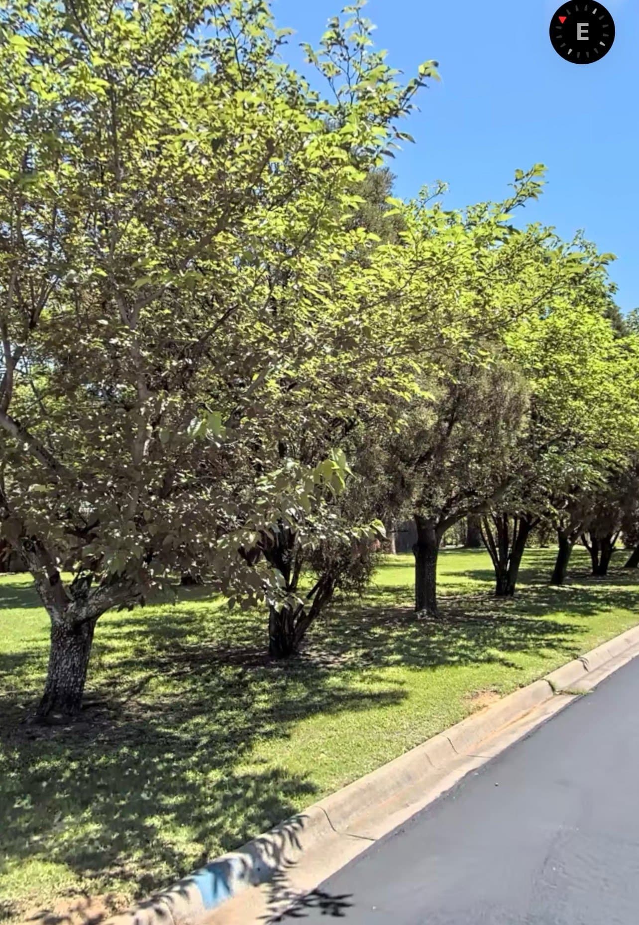 0.25 acres in Tarrant County - photo 10