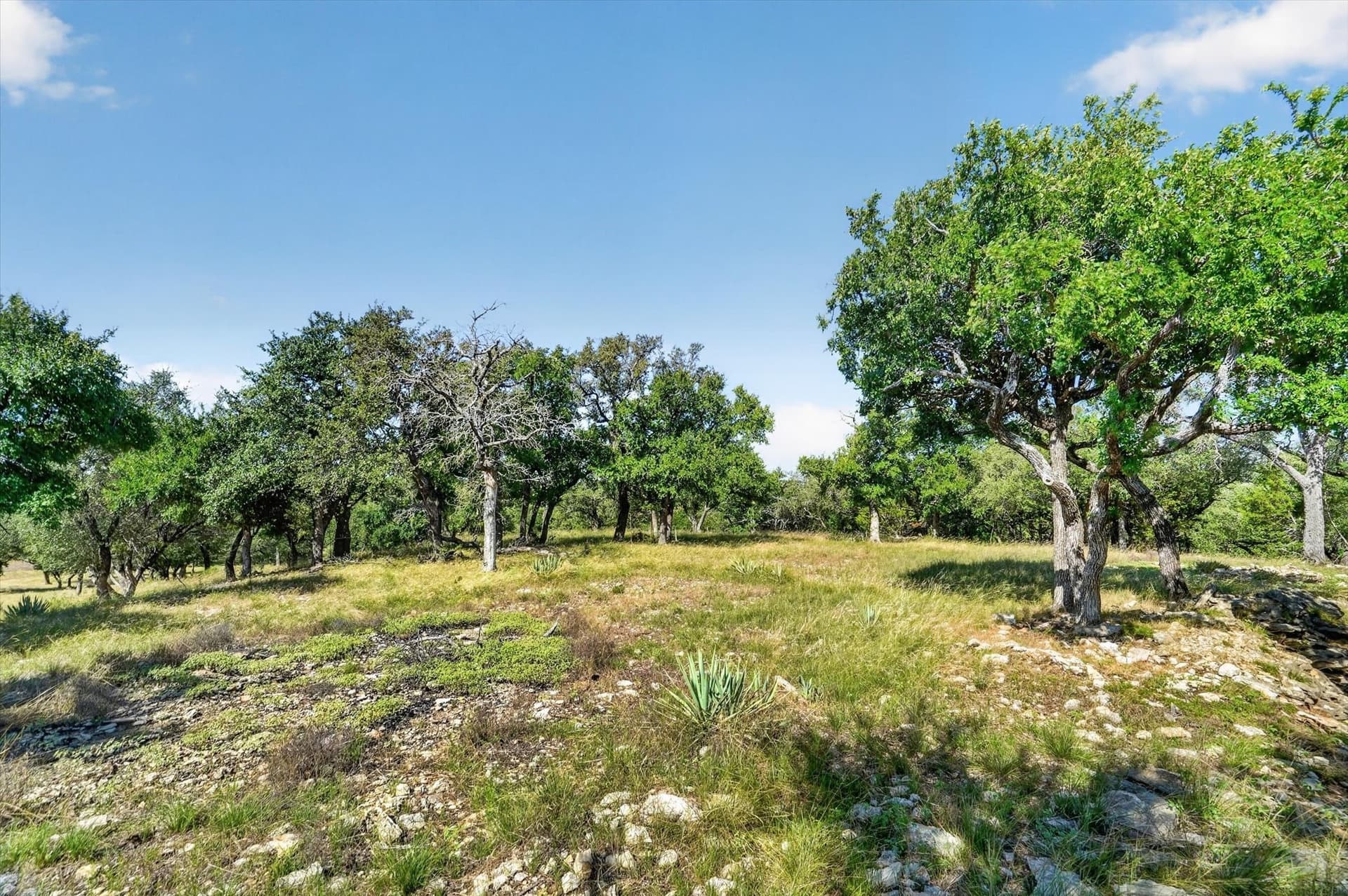 5.61 acres in Palo Pinto County featured view