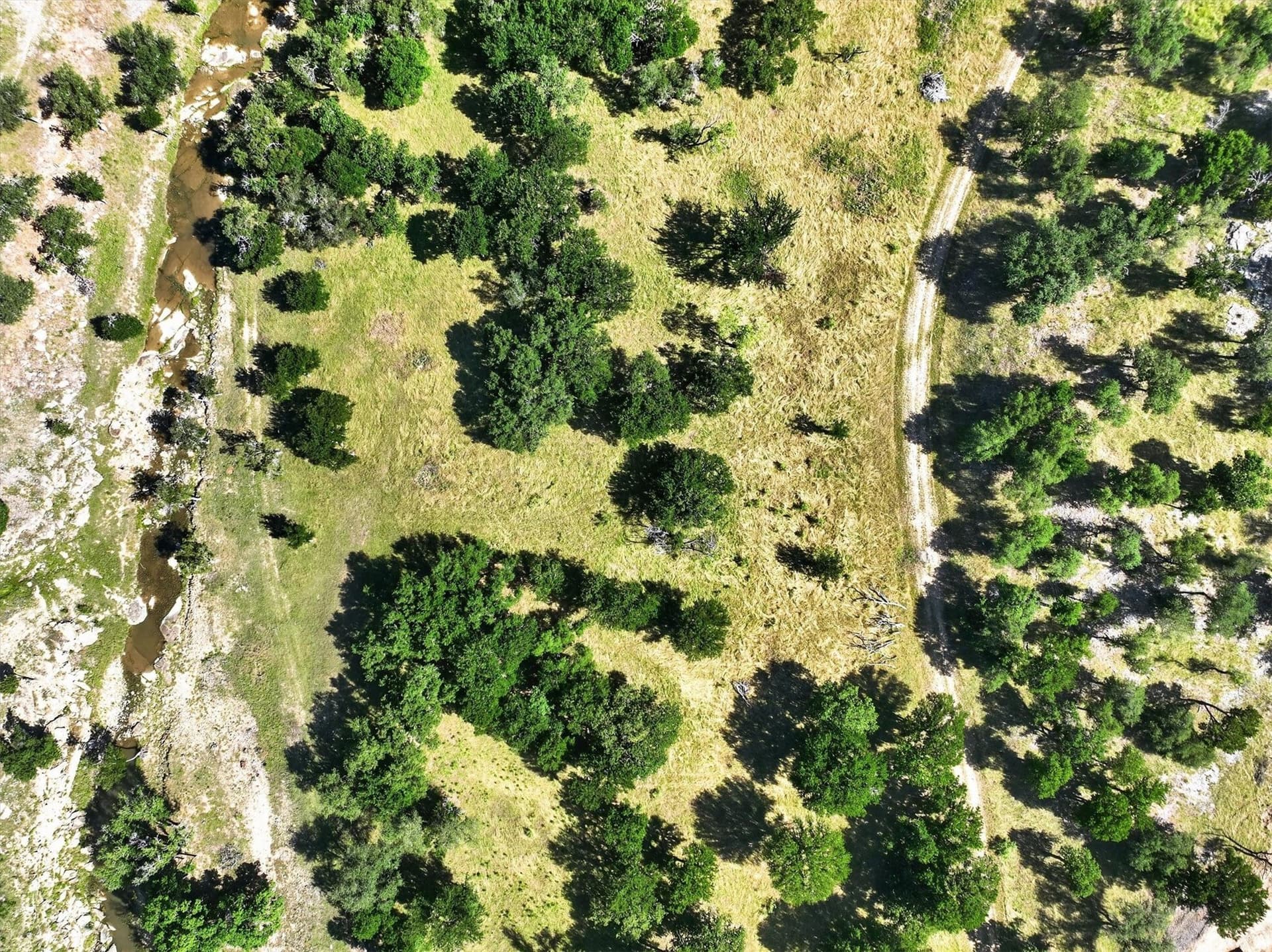 5.61 acres in Palo Pinto County - photo 6