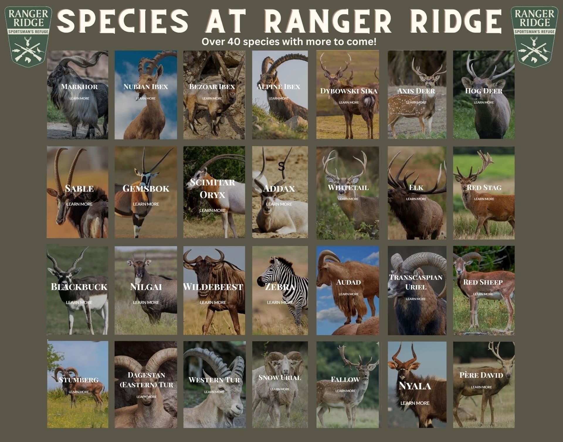 5.61 acres in Palo Pinto County - photo 26