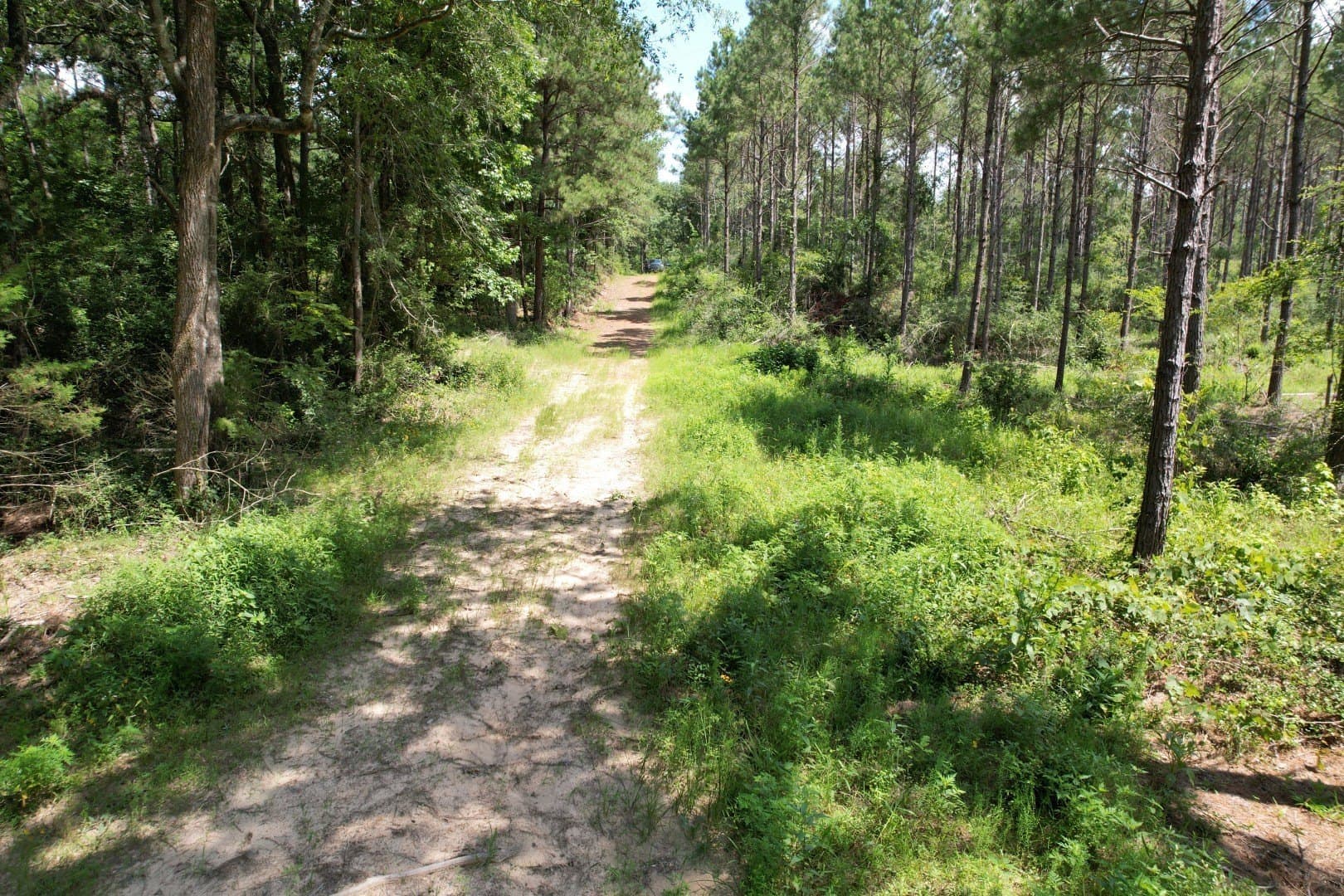 75 acres in Shelby County - photo 19