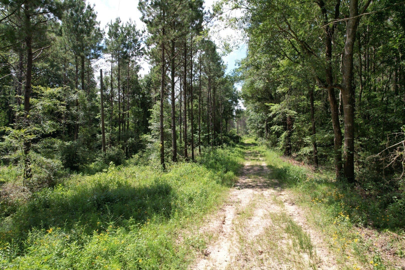 75 acres in Shelby County - photo 18