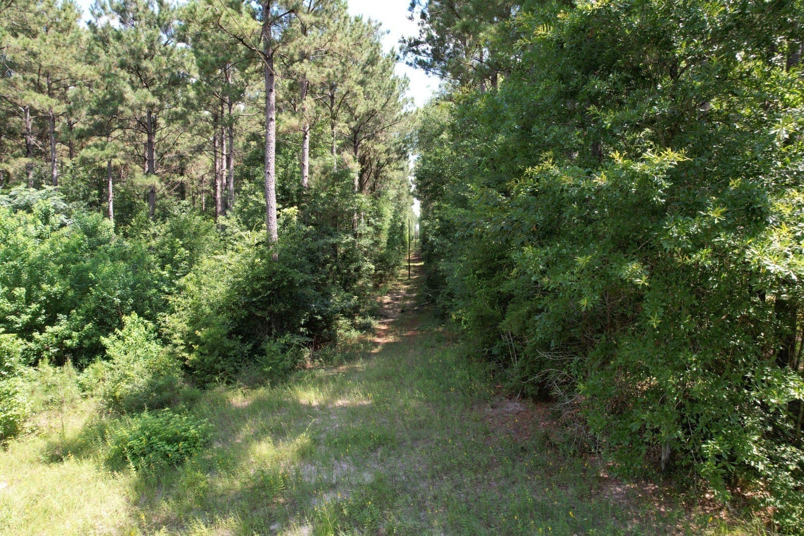 75 acres in Shelby County - photo 16