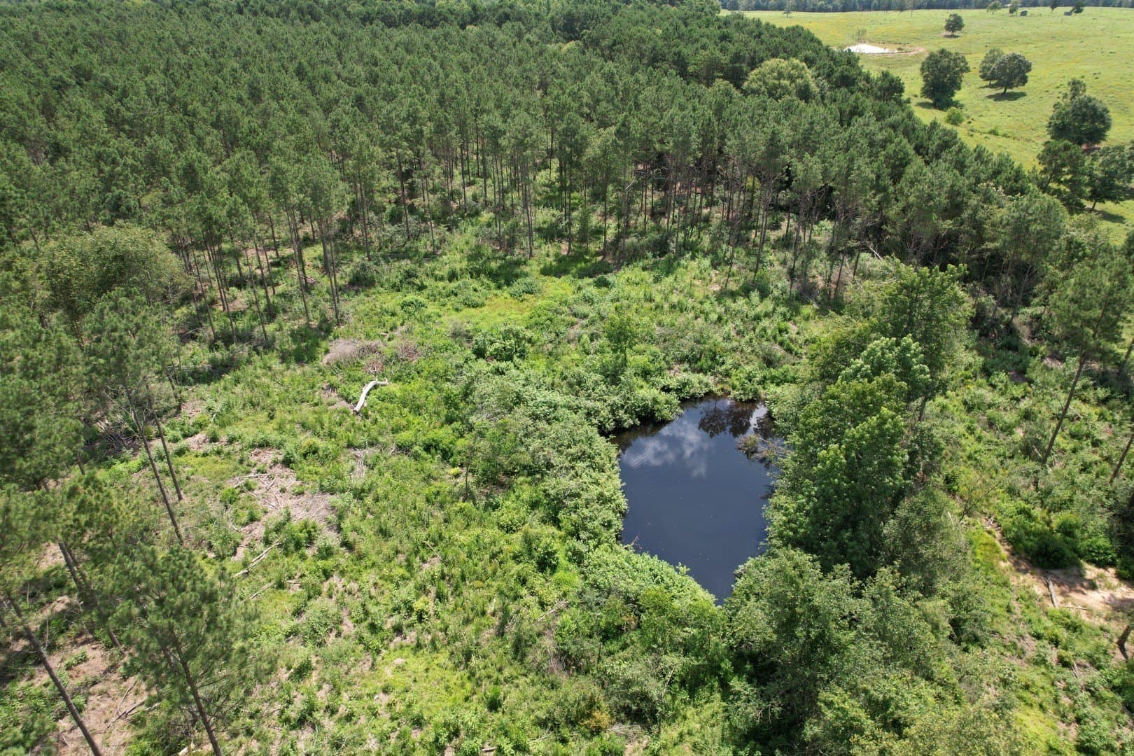 75 acres in Shelby County