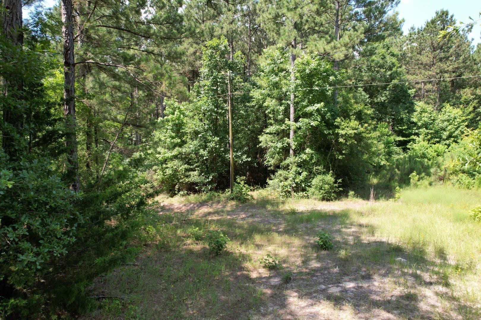 75 acres in Shelby County - photo 15