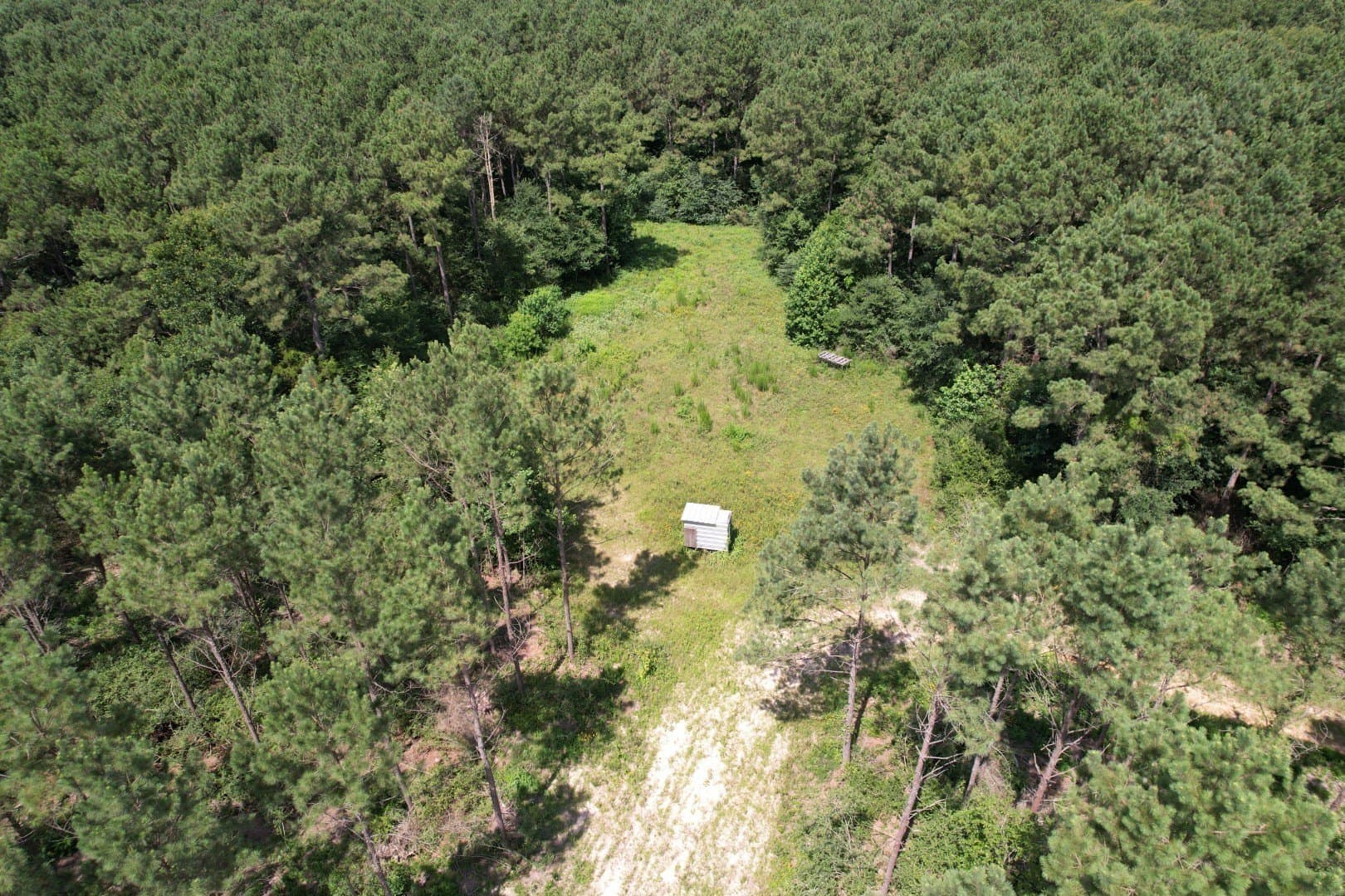 75 acres in Shelby County - photo 8