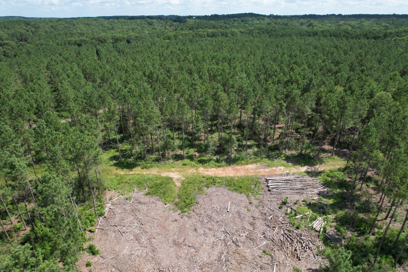 75 acres in Shelby County - photo 11