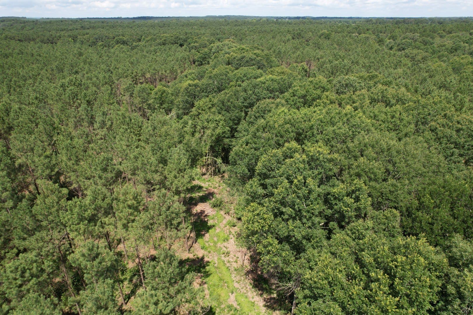 75 acres in Shelby County - photo 13