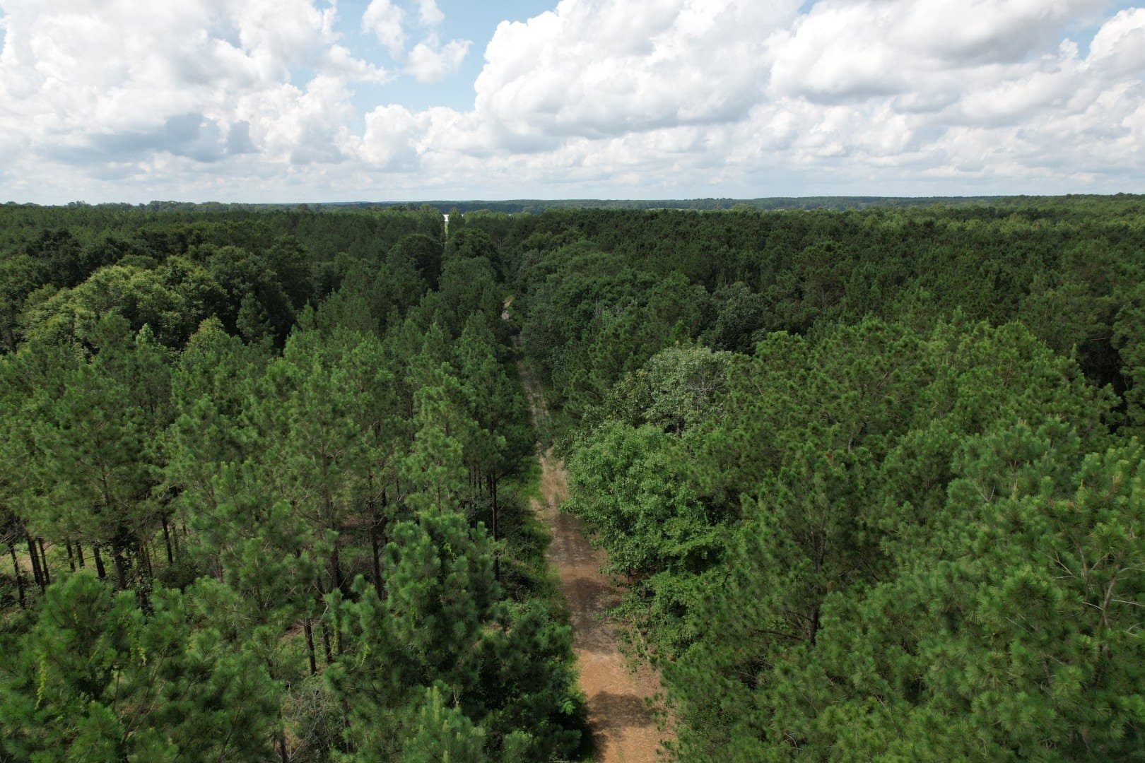75 acres in Shelby County - photo 3